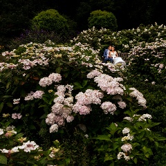 Trouwfotograaf Surinaamse bruiloft in Amsterdam | Liza en Yannick